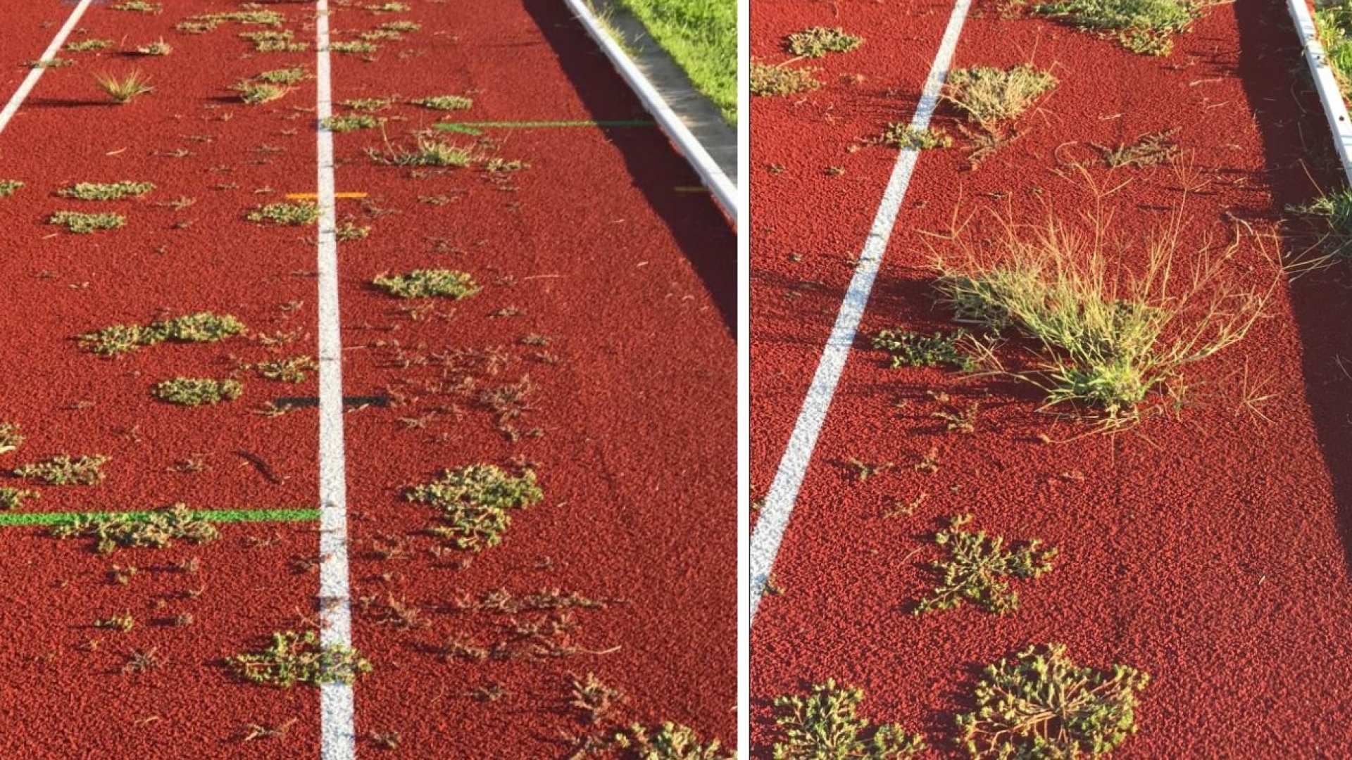 Campo Carraro a Milano: un Ritorno Difficile