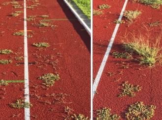 Campo Carraro a Milano: un Ritorno Difficile