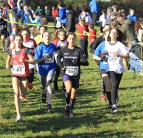 Cross, Cortenova da Record: 14 Selezioni