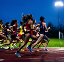 Silver Rodengo: Ottimo Cast e Numeri Record